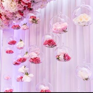 Meet your Posher, Liza